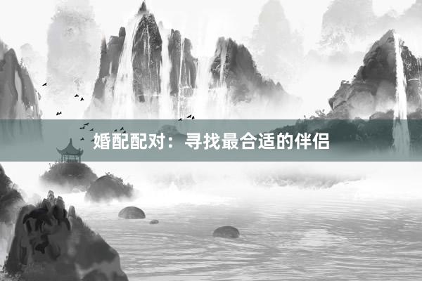婚配配对：寻找最合适的伴侣