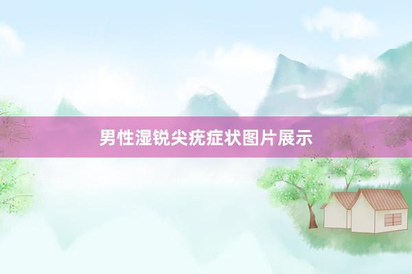 男性湿锐尖疣症状图片展示