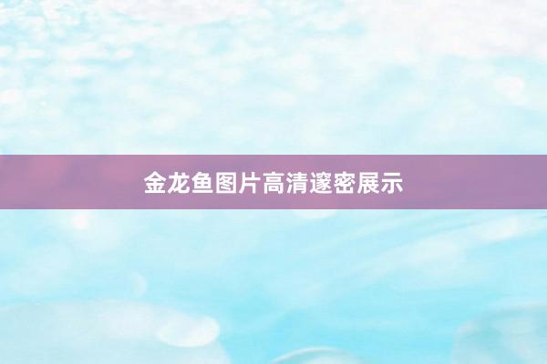金龙鱼图片高清邃密展示