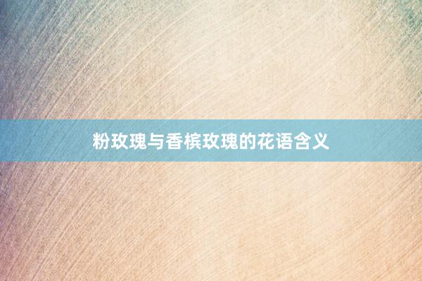 粉玫瑰与香槟玫瑰的花语含义